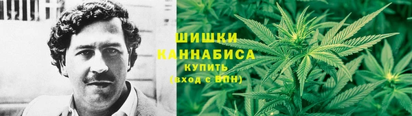 индика Нестеровская