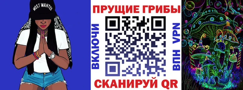 Галлюциногенные грибы мицелий  Орехово-Зуево 